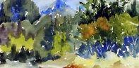 Watercolor Artists Featured in YAA Spotlight Show