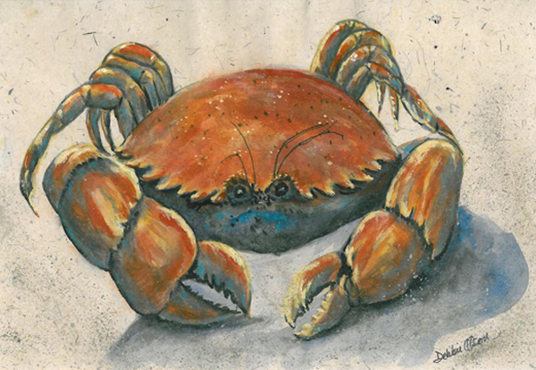  "Crab" by Debbie Olsen