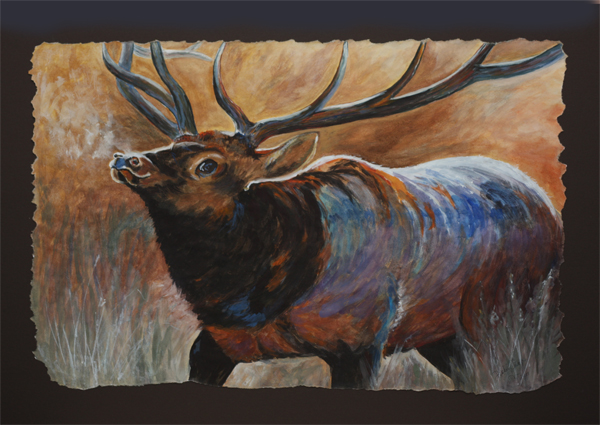 "Elk" by Debbie Olsen
