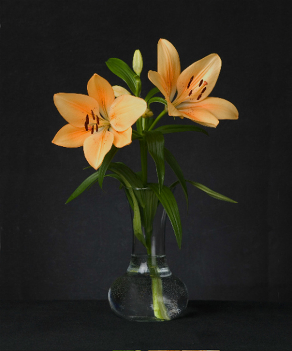 "Orange Lily" by Richard LaFond