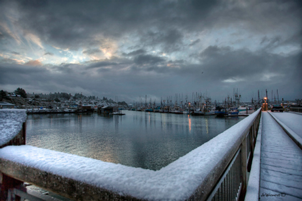 "Snowy Docks"