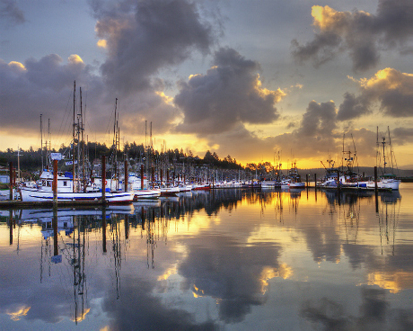 "Yaquina Sunrise"