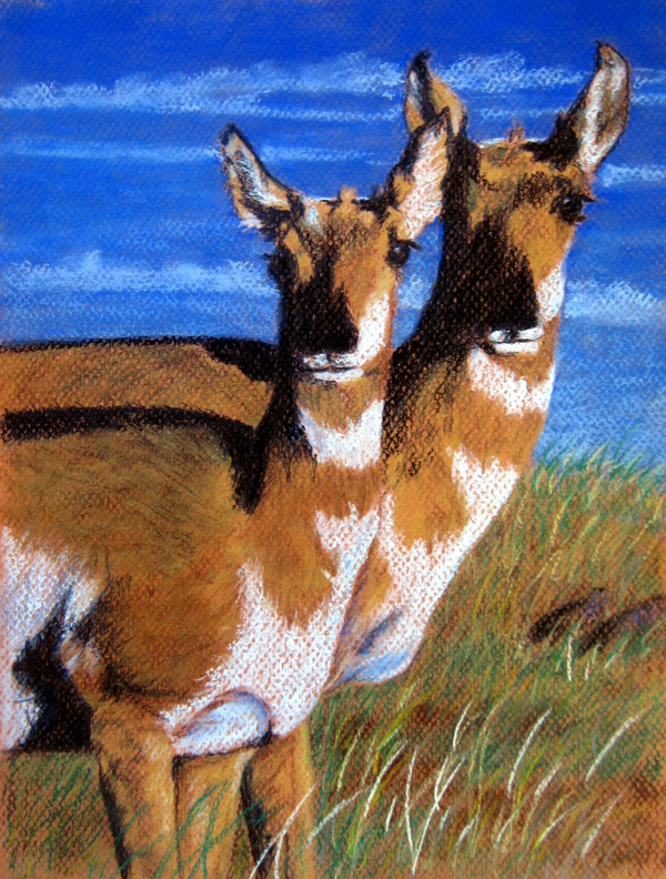 "Antelope" by Mike Byer