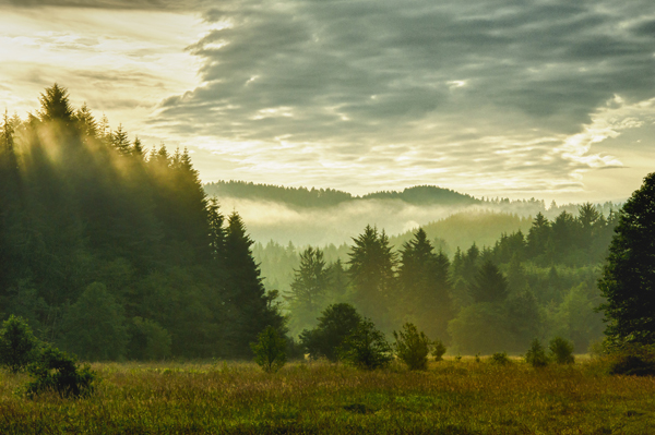 "Mist at Sunrise" by Fred Schneider