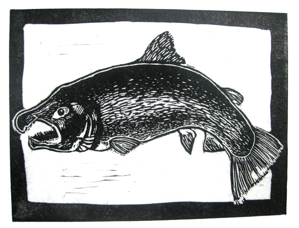 "Salmon" by Christy Turner