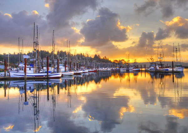 "Yaquina Sunrise" by Ted Crego