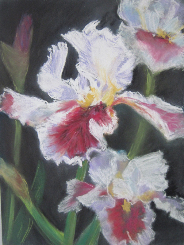 "Iris Garden" (media pastel) by Luellla Hartwell