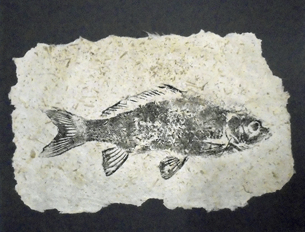 "Fish Print" by Ken Hartwell